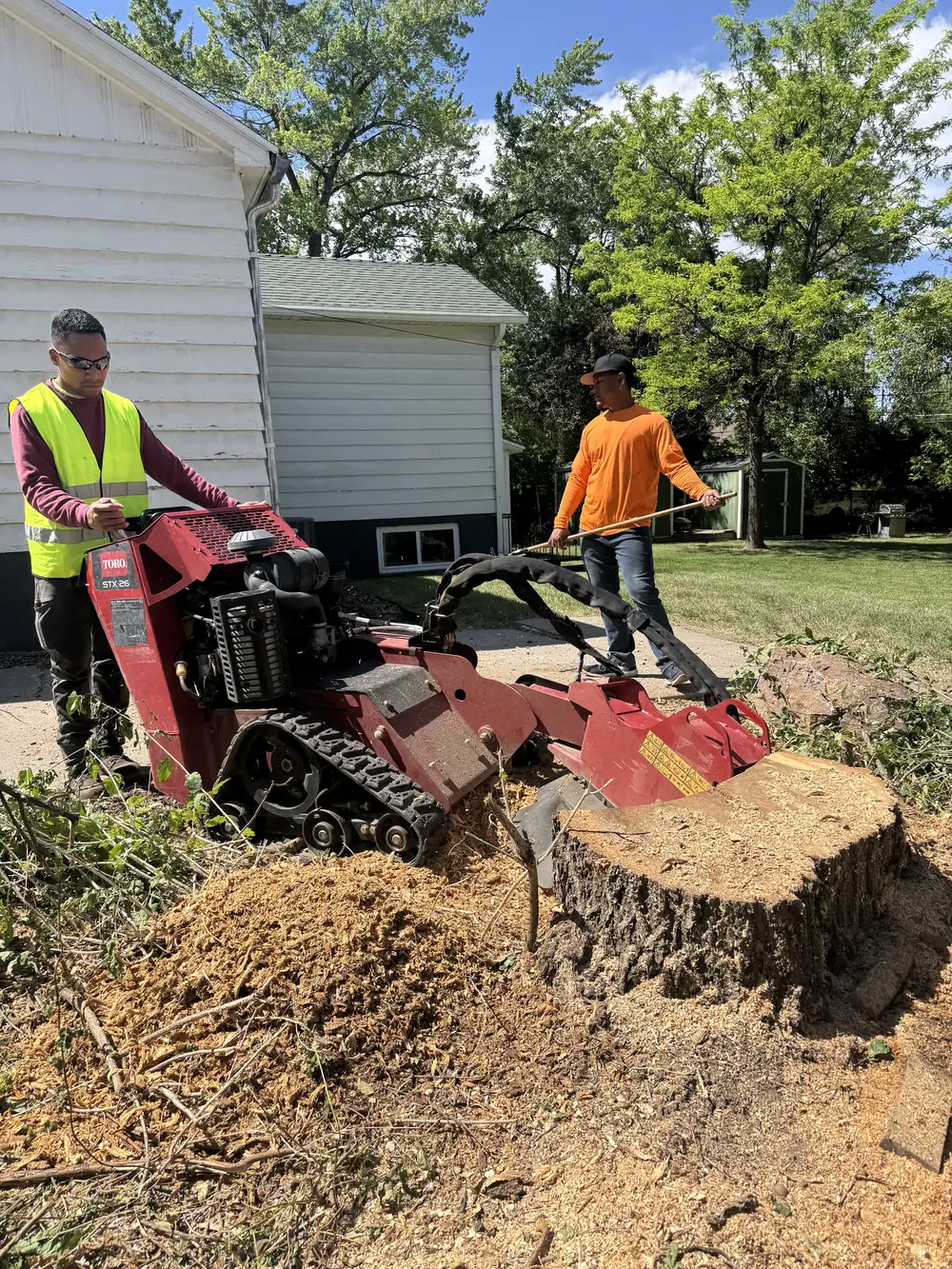Stump grinding in Salt Lake City — The Unlimited Favor crew grinding out a large cottonwood stump